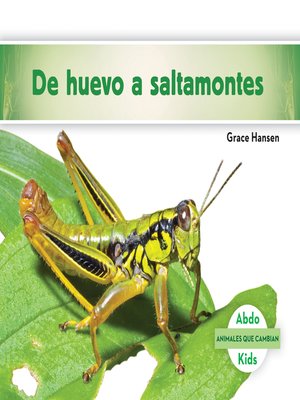cover image of De huevo a saltamontes (Becoming a Grasshopper ) (Spanish Version)